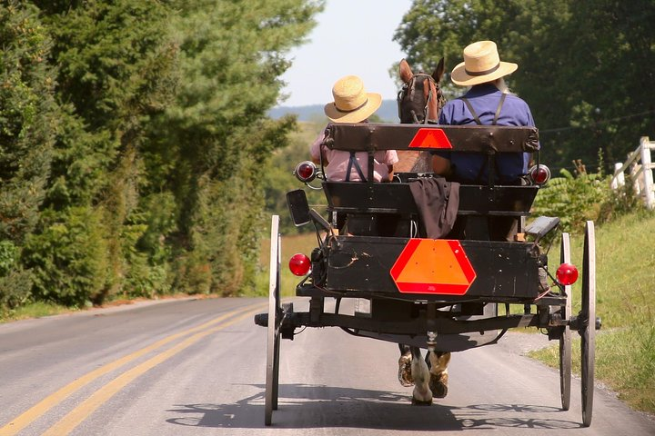 Premium Amish Country Tour including Amish Farm and House - Photo 1 of 13